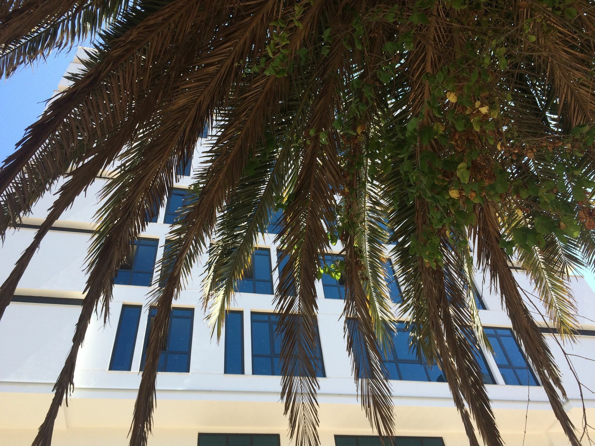 Aselia Hotel Trabzon Zewnętrze zdjęcie